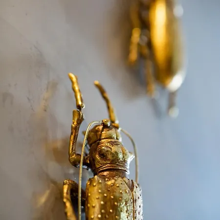 Colegio Charm House Country house *